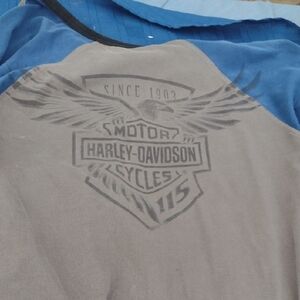 Harley-Davidson Graphic Long Sleeve  Shirt- Blue and Gray 115